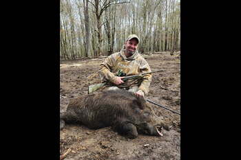 Boar 2026